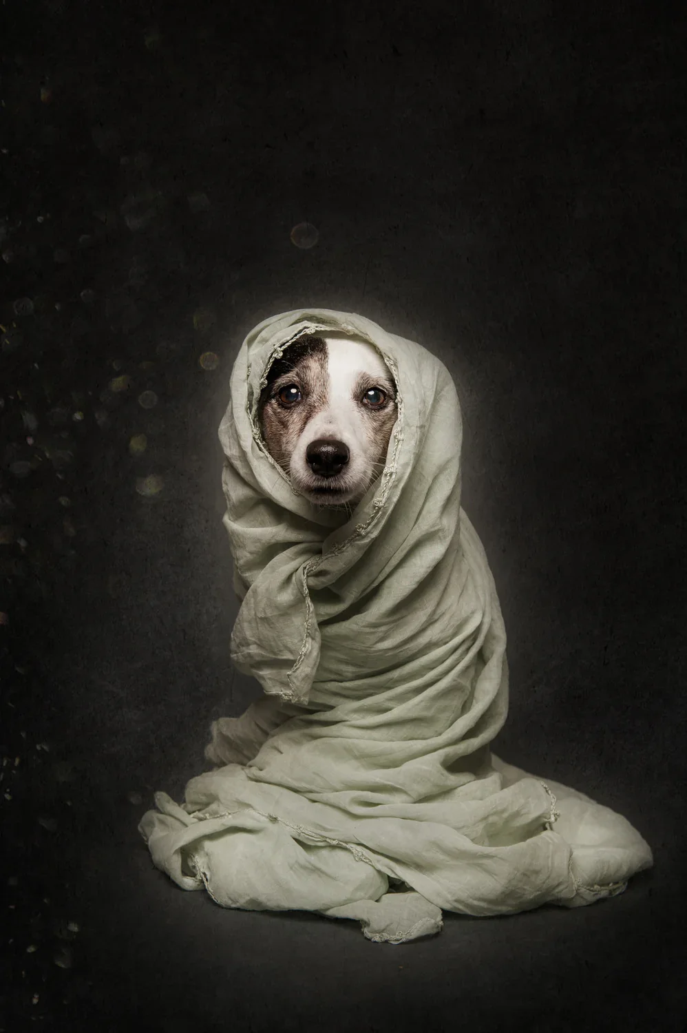 Wrapped Poster och Canvastavla