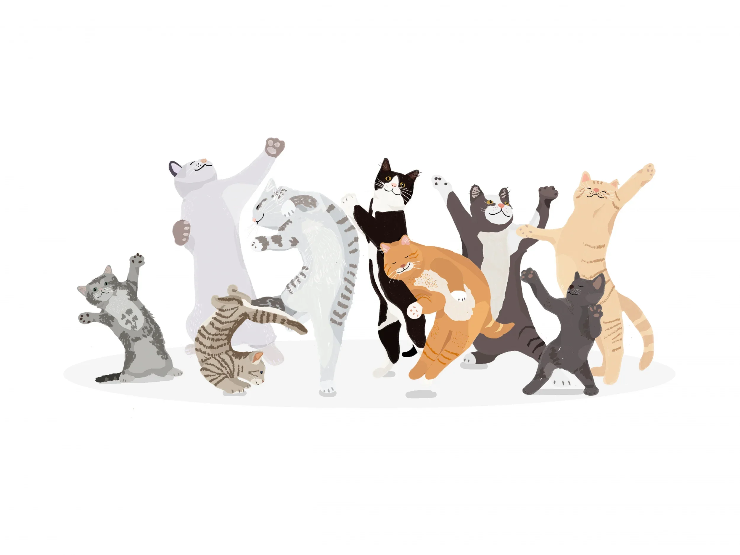 Dancing Cat Poster och Canvastavla